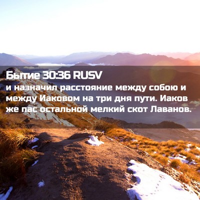 Picture 02 - Бытие 30:36 RUSV - и назначил расстояние - Bible Verse Picture