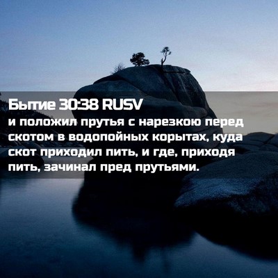Picture 02 - Бытие 30:38 RUSV - и положил прутья с - Bible Verse Picture