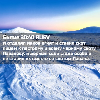 Picture 02 - Бытие 30:40 RUSV - И отделял Иаков ягнят и - Bible Verse Picture