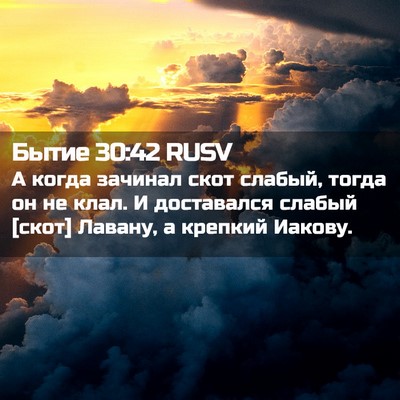 Picture 02 - Бытие 30:42 RUSV - А когда зачинал скот - Bible Verse Picture