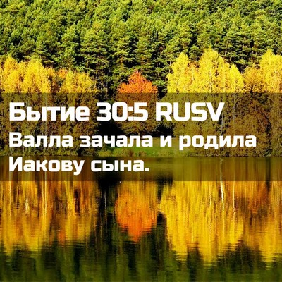 Picture 02 - Бытие 30:5 RUSV - Валла зачала и родила - Bible Verse Picture