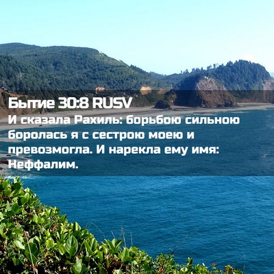 Picture 02 - Бытие 30:8 RUSV - И сказала Рахиль: борьбою - Bible Verse Picture