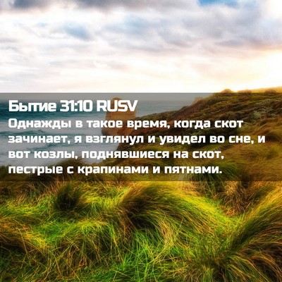 Picture 02 - Бытие 31:10 RUSV - Однажды в такое время, - Bible Verse Picture