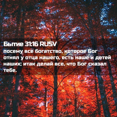 Picture 02 - Бытие 31:16 RUSV - посему все богатство, - Bible Verse Picture