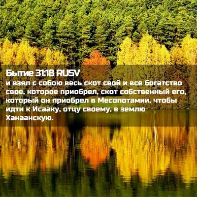 Picture 02 - Бытие 31:18 RUSV - и взял с собою весь скот - Bible Verse Picture