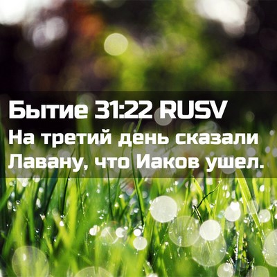 Picture 02 - Бытие 31:22 RUSV - На третий день сказали - Bible Verse Picture