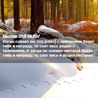 Picture 02 - Бытие 31:8 RUSV - Когда сказал он, что [скот] - Bible Verse Picture