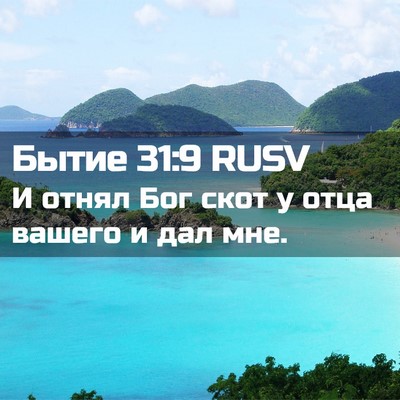Picture 02 - Бытие 31:9 RUSV - И отнял Бог скот у отца - Bible Verse Picture