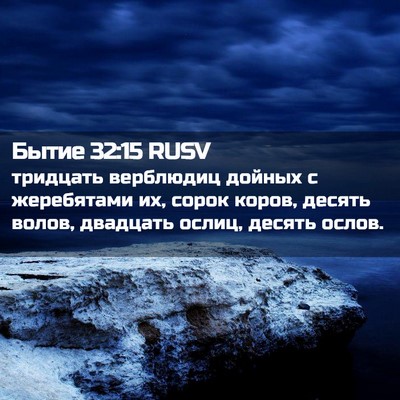 Picture 02 - Бытие 32:15 RUSV - тридцать верблюдиц дойных - Bible Verse Picture