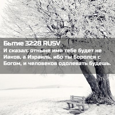 Picture 02 - Бытие 32:28 RUSV - И сказал: отныне имя тебе - Bible Verse Picture