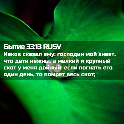 Picture 02 - Бытие 33:13 RUSV - Иаков сказал ему: господин - Bible Verse Picture