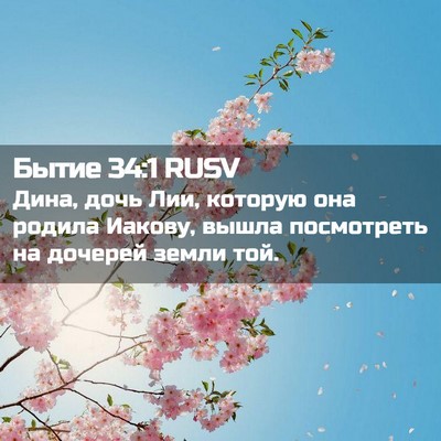 Picture 02 - Бытие 34:1 RUSV - Дина, дочь Лии, которую она - Bible Verse Picture