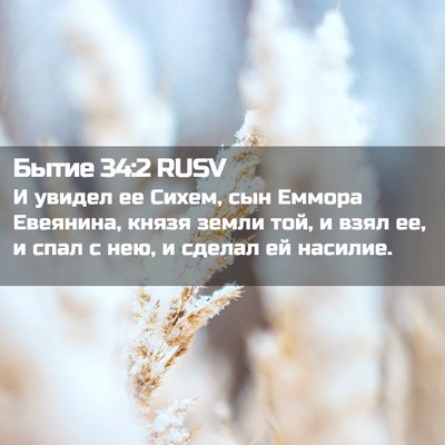 Picture 02 - Бытие 34:2 RUSV - И увидел ее Сихем, сын - Bible Verse Picture