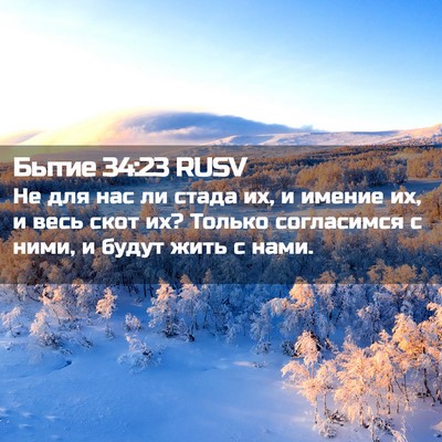 Picture 02 - Бытие 34:23 RUSV - Не для нас ли стада их, и - Bible Verse Picture