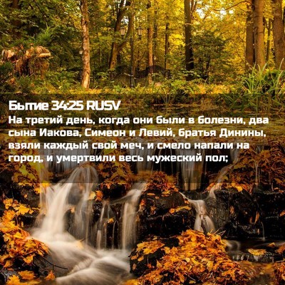 Picture 02 - Бытие 34:25 RUSV - На третий день, когда они - Bible Verse Picture