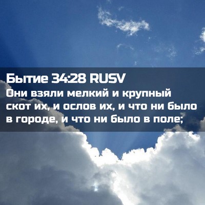 Picture 02 - Бытие 34:28 RUSV - Они взяли мелкий и крупный - Bible Verse Picture