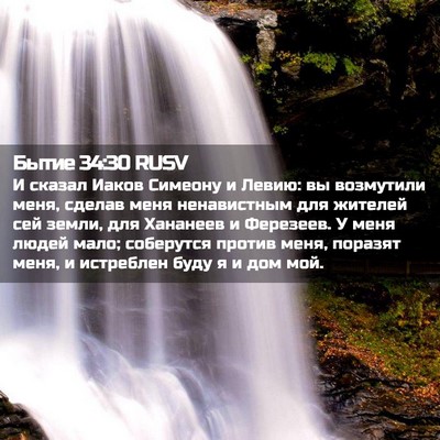 Picture 02 - Бытие 34:30 RUSV - И сказал Иаков Симеону и - Bible Verse Picture