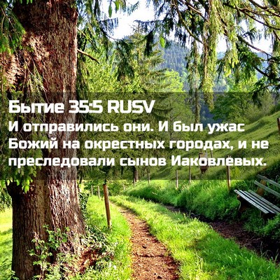 Picture 02 - Бытие 35:5 RUSV - И отправились они. И был - Bible Verse Picture