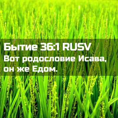 Picture 02 - Бытие 36:1 RUSV - Вот родословие Исава, он же - Bible Verse Picture
