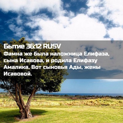 Picture 02 - Бытие 36:12 RUSV - Фамна же была наложница - Bible Verse Picture