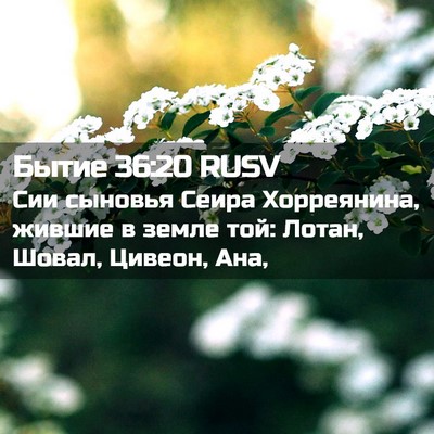 Picture 02 - Бытие 36:20 RUSV - Сии сыновья Сеира - Bible Verse Picture