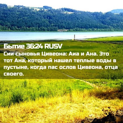 Picture 02 - Бытие 36:24 RUSV - Сии сыновья Цивеона: Аиа и - Bible Verse Picture