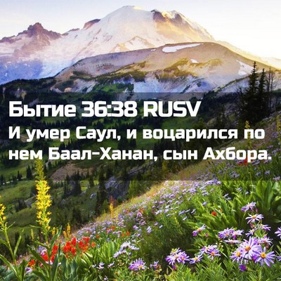 Picture 02 - Бытие 36:38 RUSV - И умер Саул, и воцарился по - Bible Verse Picture