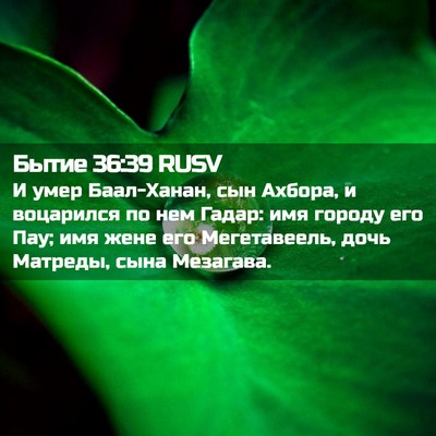 Picture 02 - Бытие 36:39 RUSV - И умер Баал-Ханан, сын - Bible Verse Picture