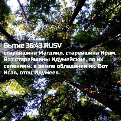 Picture 02 - Бытие 36:43 RUSV - старейшина Магдиил, - Bible Verse Picture