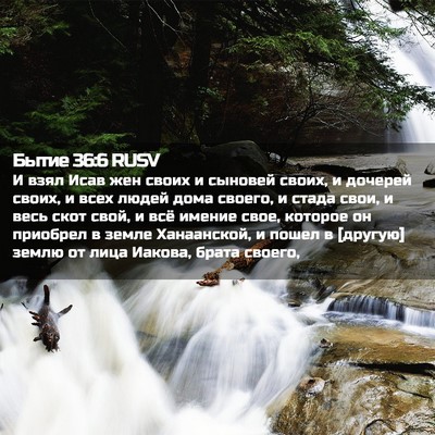 Picture 02 - Бытие 36:6 RUSV - И взял Исав жен своих и - Bible Verse Picture