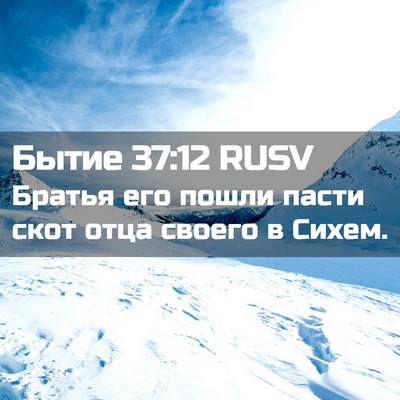 Picture 02 - Бытие 37:12 RUSV - Братья его пошли пасти - Bible Verse Picture