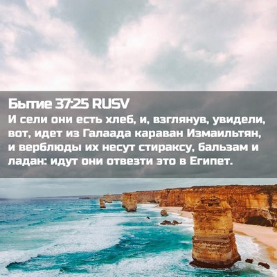 Picture 02 - Бытие 37:25 RUSV - И сели они есть хлеб, и, - Bible Verse Picture