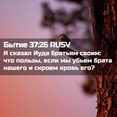 Picture 02 - Бытие 37:26 RUSV - И сказал Иуда братьям - Bible Verse Picture