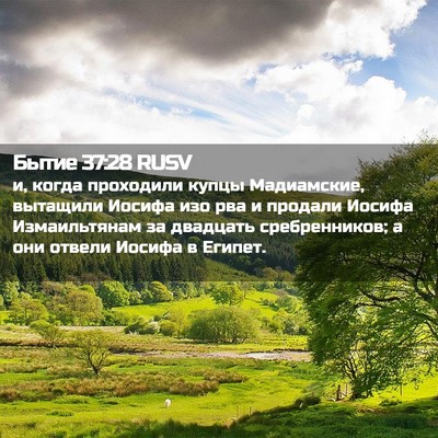 Picture 02 - Бытие 37:28 RUSV - и, когда проходили купцы - Bible Verse Picture