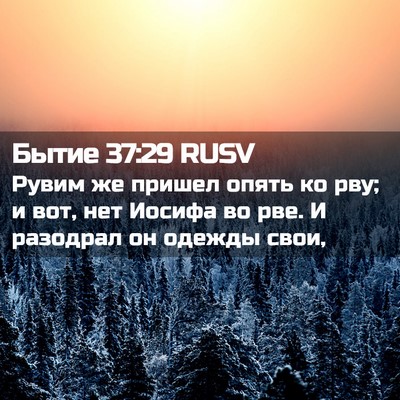 Picture 02 - Бытие 37:29 RUSV - Рувим же пришел опять ко - Bible Verse Picture
