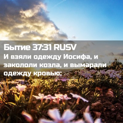Picture 02 - Бытие 37:31 RUSV - И взяли одежду Иосифа, и - Bible Verse Picture