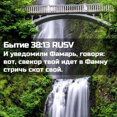 Picture 02 - Бытие 38:13 RUSV - И уведомили Фамарь, говоря: - Bible Verse Picture