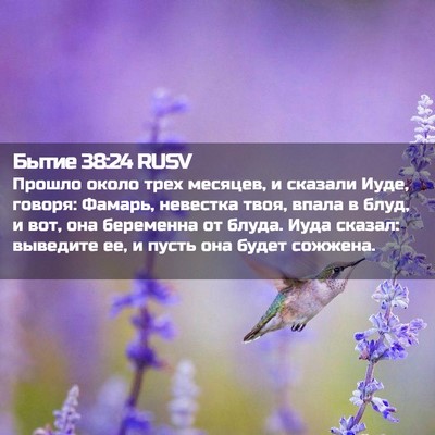 Picture 02 - Бытие 38:24 RUSV - Прошло около трех месяцев, - Bible Verse Picture