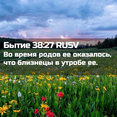 Picture 02 - Бытие 38:27 RUSV - Во время родов ее - Bible Verse Picture