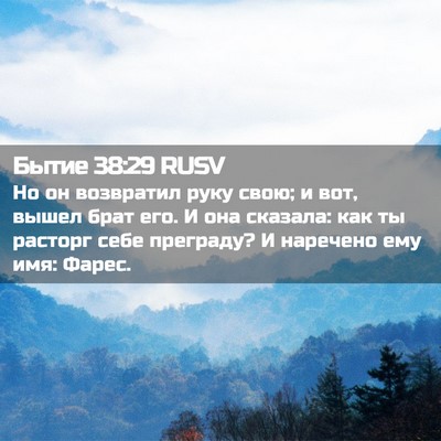 Picture 02 - Бытие 38:29 RUSV - Но он возвратил руку свою; - Bible Verse Picture