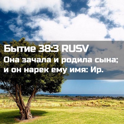Picture 02 - Бытие 38:3 RUSV - Она зачала и родила сына; и - Bible Verse Picture
