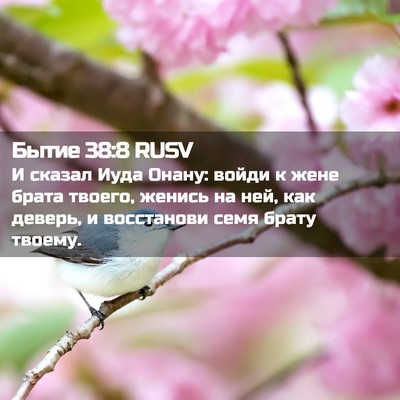 Picture 02 - Бытие 38:8 RUSV - И сказал Иуда Онану: войди - Bible Verse Picture