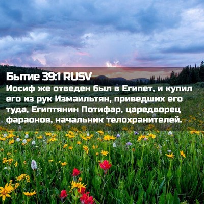 Picture 02 - Бытие 39:1 RUSV - Иосиф же отведен был в - Bible Verse Picture