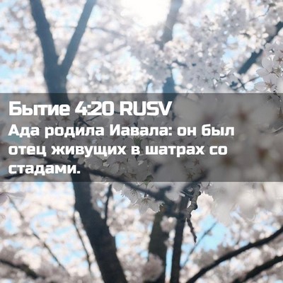 Picture 02 - Бытие 4:20 RUSV - Ада родила Иавала: он был - Bible Verse Picture