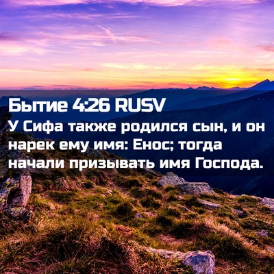 Picture 02 - Бытие 4:26 RUSV - У Сифа также родился сын, и - Bible Verse Picture