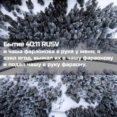 Picture 02 - Бытие 40:11 RUSV - и чаша фараонова в руке у - Bible Verse Picture