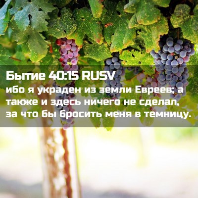 Picture 02 - Бытие 40:15 RUSV - ибо я украден из земли - Bible Verse Picture