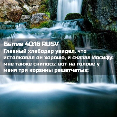 Picture 02 - Бытие 40:16 RUSV - Главный хлебодар увидел, - Bible Verse Picture
