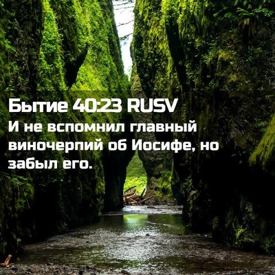 Picture 02 - Бытие 40:23 RUSV - И не вспомнил главный - Bible Verse Picture