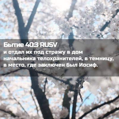 Picture 02 - Бытие 40:3 RUSV - и отдал их под стражу в дом - Bible Verse Picture